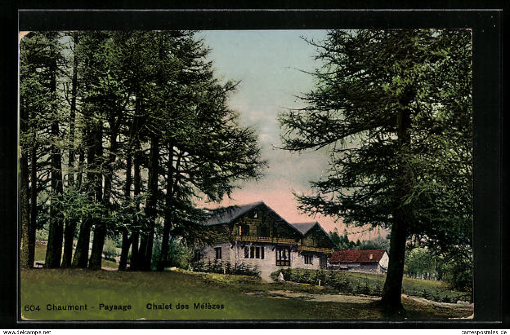 AK Chaumont, Paysage, Chalet Des Mélèzes  - Altri & Non Classificati