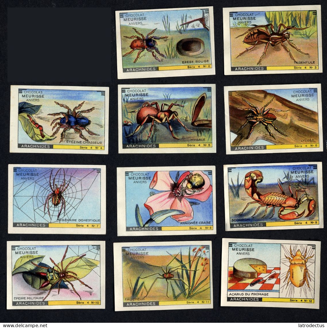 Meurisse - Ca 1930 - 4 - Les Arachnides, Arachnids - Serie (no 1 Missing) - Sonstige & Ohne Zuordnung