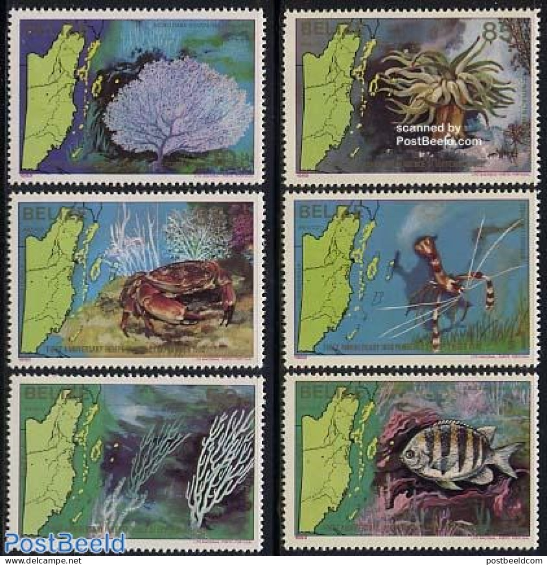 Belize/British Honduras 1982 Independence/marine Life 6v, Mint NH, Nature - Various - Fish - Shells & Crustaceans - Ma.. - Peces