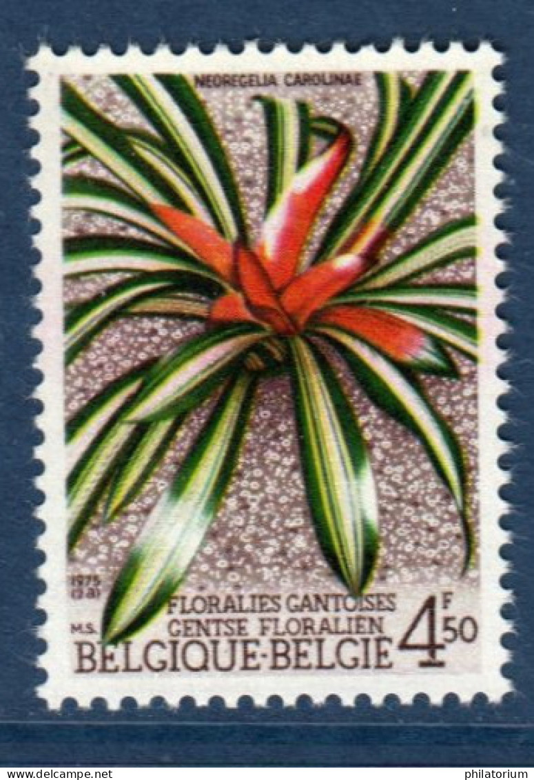 Belgique, België, **, Yv 1741, Mi 1799, SG 2378, Néorégélia De Caroline ( Neoregelia Carolinae) , - Unused Stamps