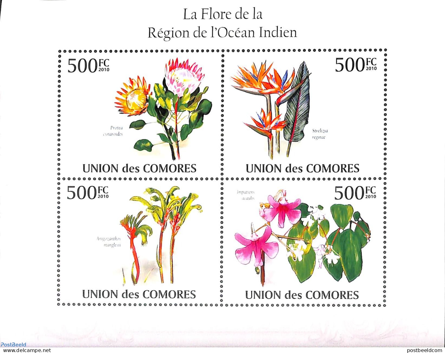 Comoros 2010 Flowers 4v M/s, Mint NH, Nature - Flowers & Plants - Comoren (1975-...)