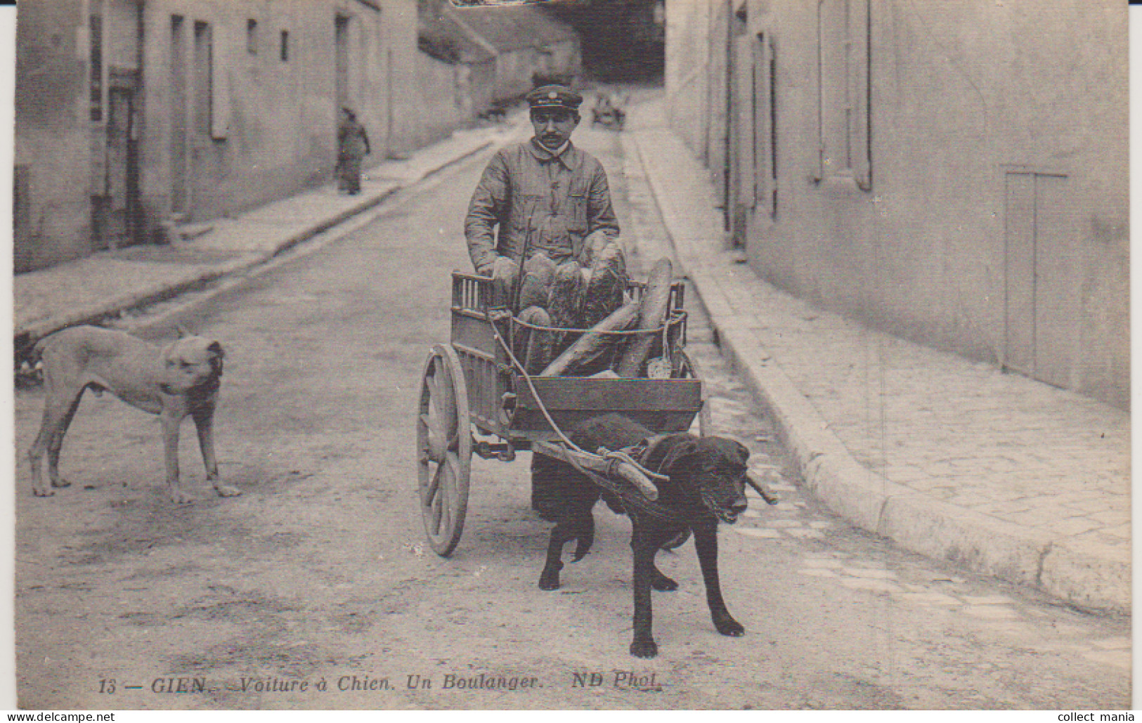 45 - GIEN - Voiture à Chien - Un Boulanger - Gien