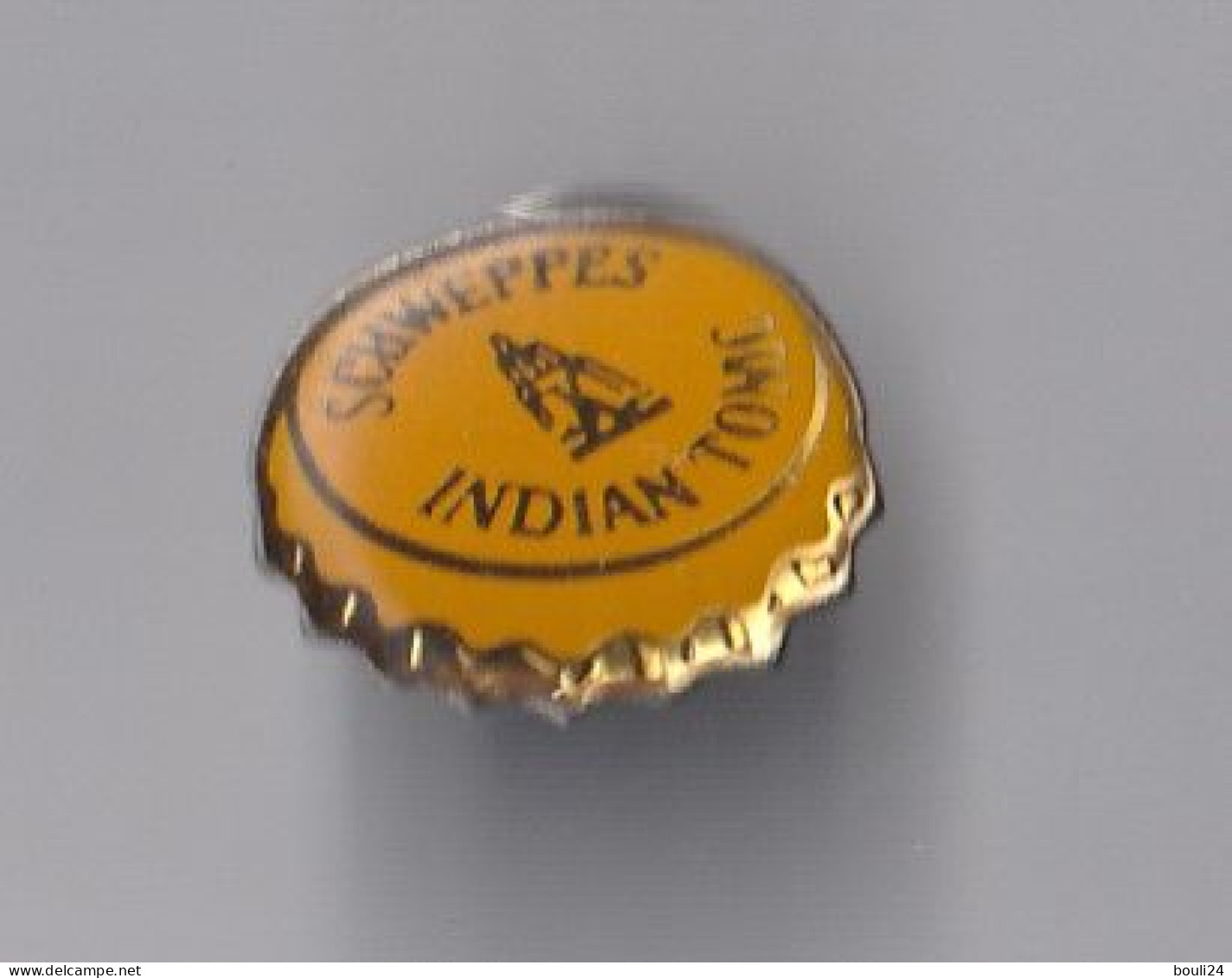 PIN'S   THEME BOISSON SCHWEPPES INDIAN TONIC  CAPSULE BOUTEILLE - Boissons