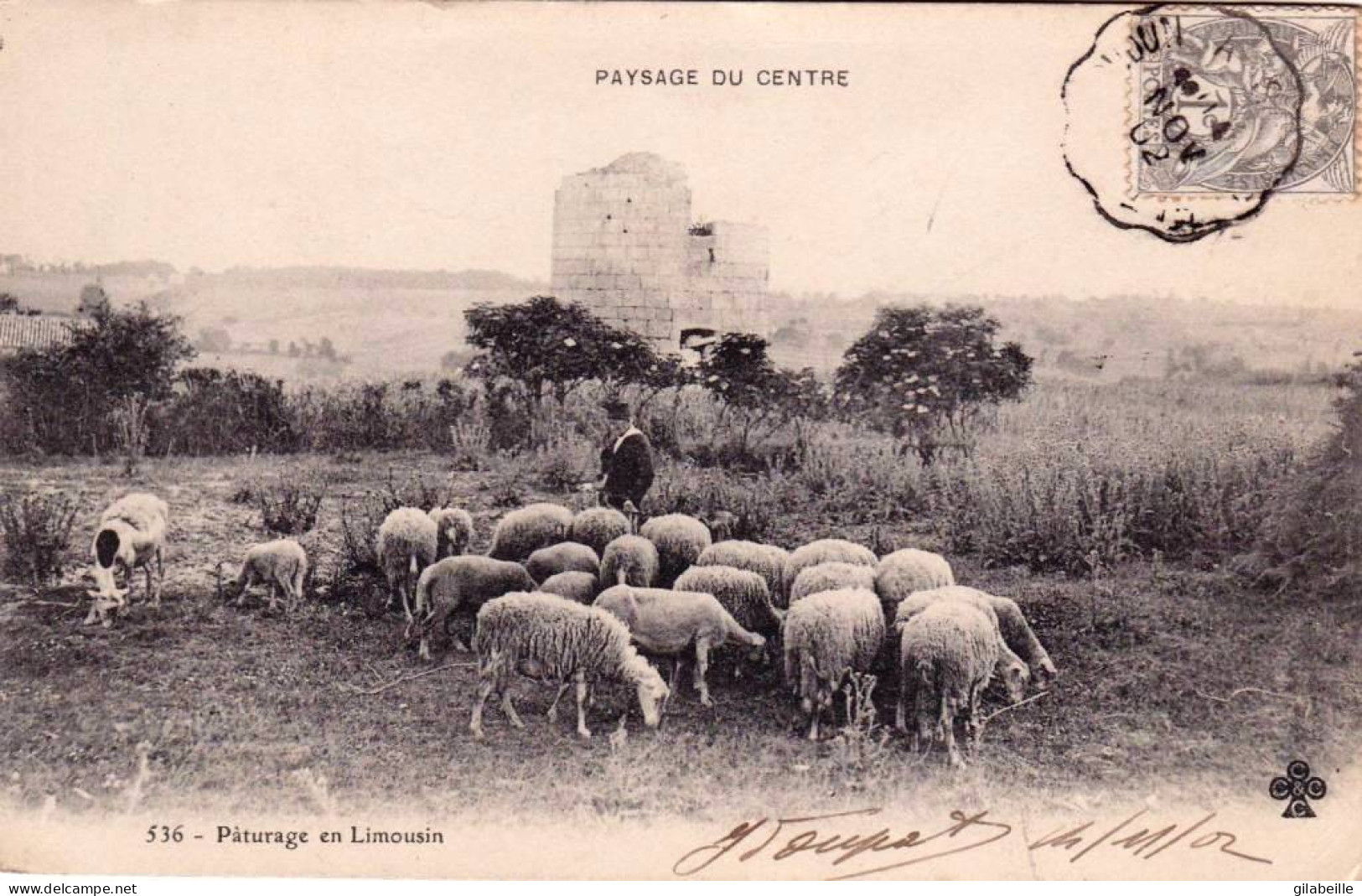 Agriculture - Scene Champetre  - Paturage  De Moutons En Limousin - Veeteelt