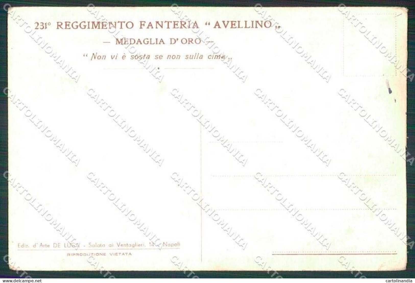 Militari Reggimentali 231º Reggimento Fanteria Avellino Cartolina XF6714 - Altri & Non Classificati