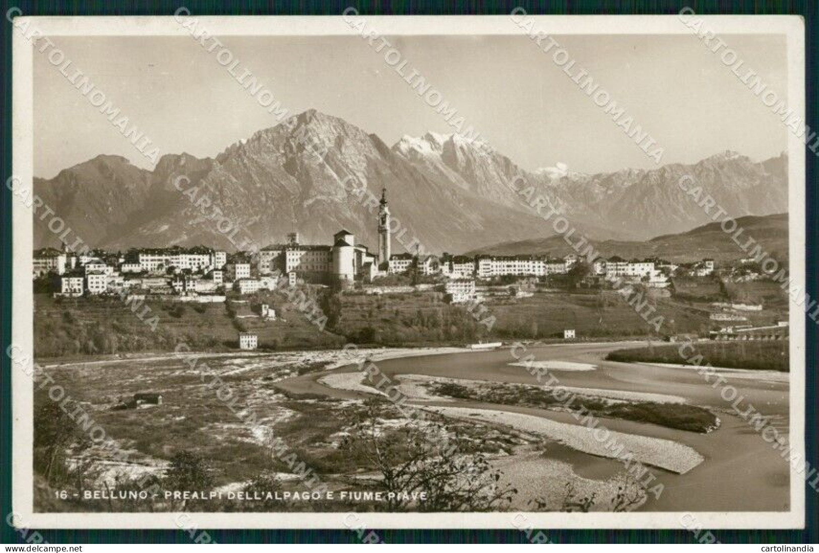 Belluno Città Fiume Piave COLLA Foto Cartolina VK0124 - Belluno