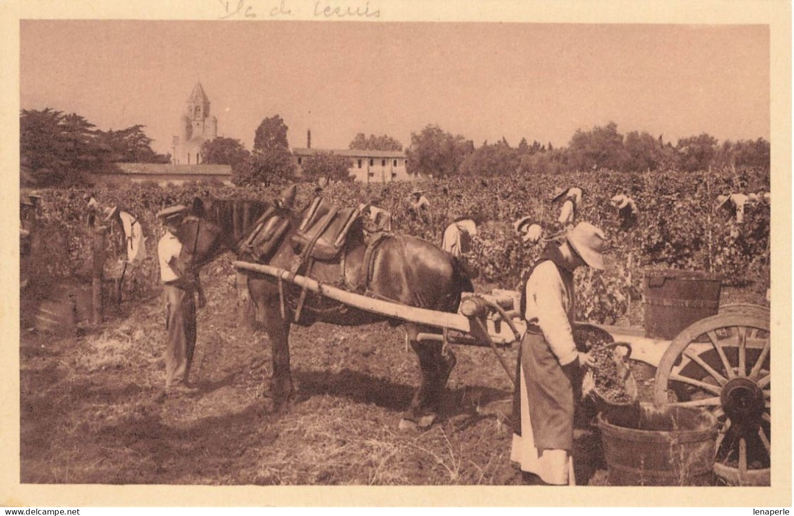 D6893 Abbaye De N.D De Lérins Ile Saint Honorât - Otros & Sin Clasificación