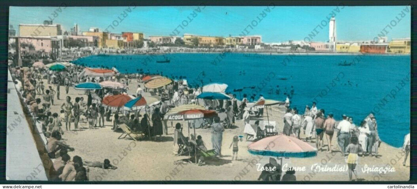 Brindisi Torre Canne FORO Panoramica Foto FG Cartolina ZK2418 - Brindisi