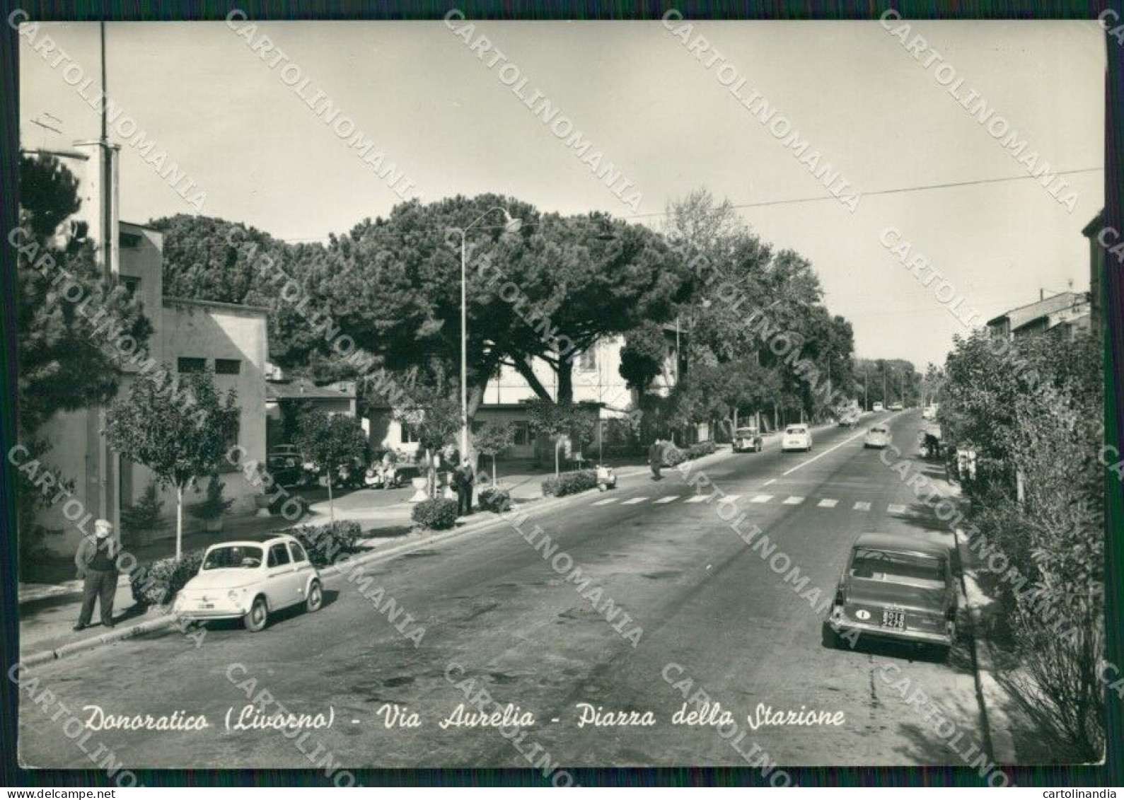 Livorno Castagneto Carducci Donoratico Auto Foto FG Cartolina ZK5460 - Livorno