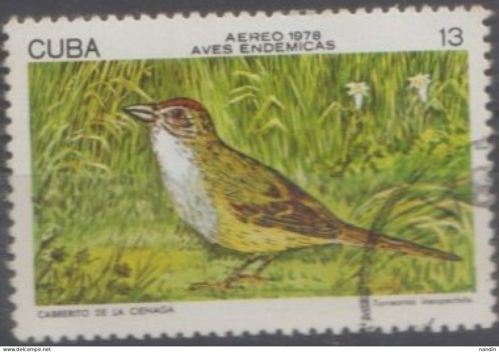 1978 CUBA  USED STAMPS ON BIRDS/ Torreornis Inexpectata-Zapata Sparrow - Cernícalo