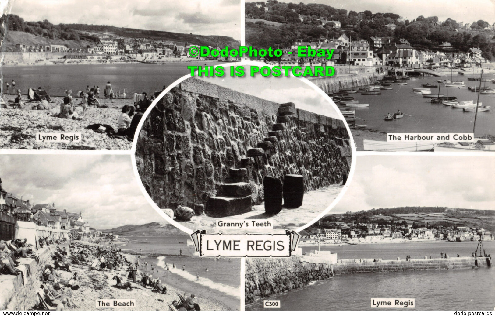 R411426 Lyme Regis. C300. RP. 1964. Multi View - World