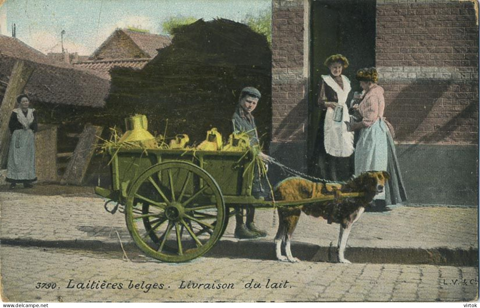 La Laitières            (  BELGE - HOND - CHIEN - Attelage .............................. Melk - Lait - Milk .....  ) - Attelages