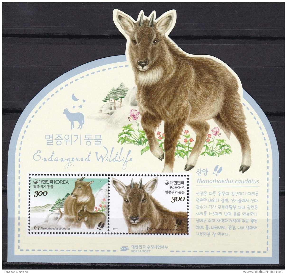 South Korea KPCC2538a Endangered Wildlife, Goral, Mountain Goat, Nemorhaedus Caudatus, Espèces En Danger, S/S - Korea, South
