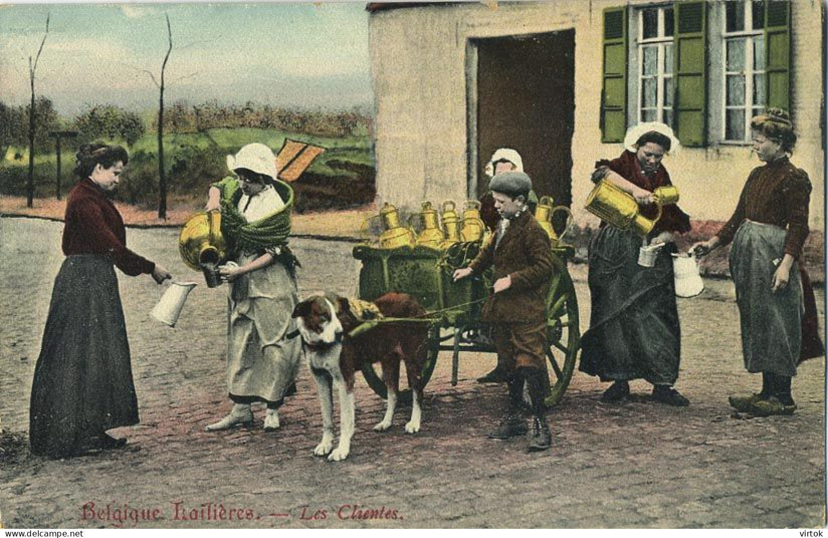 La Laitières  (  BELGE - HOND - CHIEN - Attelage .... Melk - Lait - Milk .....  ) - Equipaggiamenti