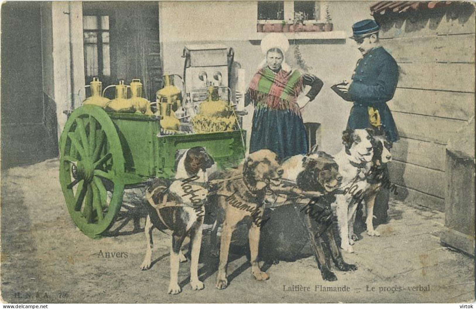 La Laitières  (  BELGE - HOND - CHIEN - Attelage .... Melk - Lait - Milk .....  ) Gendarm Police - Equipaggiamenti