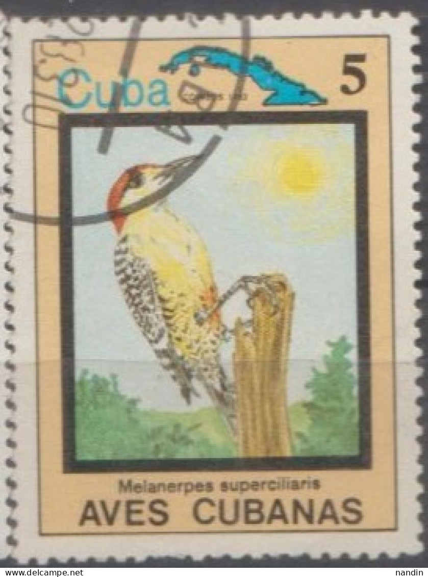 1978 CUBA  USED STAMPS ON BIRDS/ Melanerpes Superciliaris-The West Indian Woodpecker - Pájaros Cantores (Passeri)