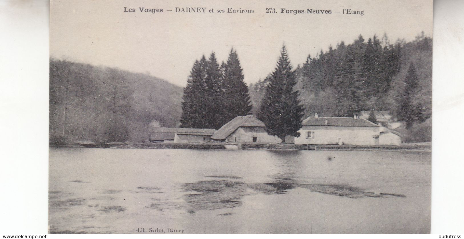 DARNEY ET SES ENVIRONS  FORGE NEUVE L ETANG - Darney