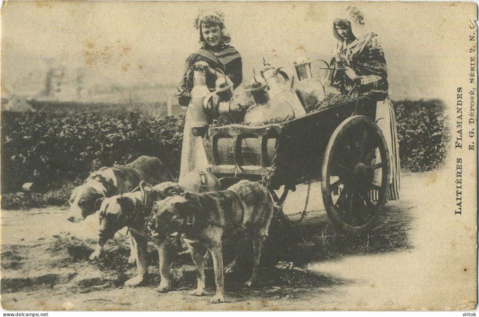 La Laitières  (  BELGE - HOND - CHIEN - Attelage .... Melk - Lait - Milk .....  ) - Teams