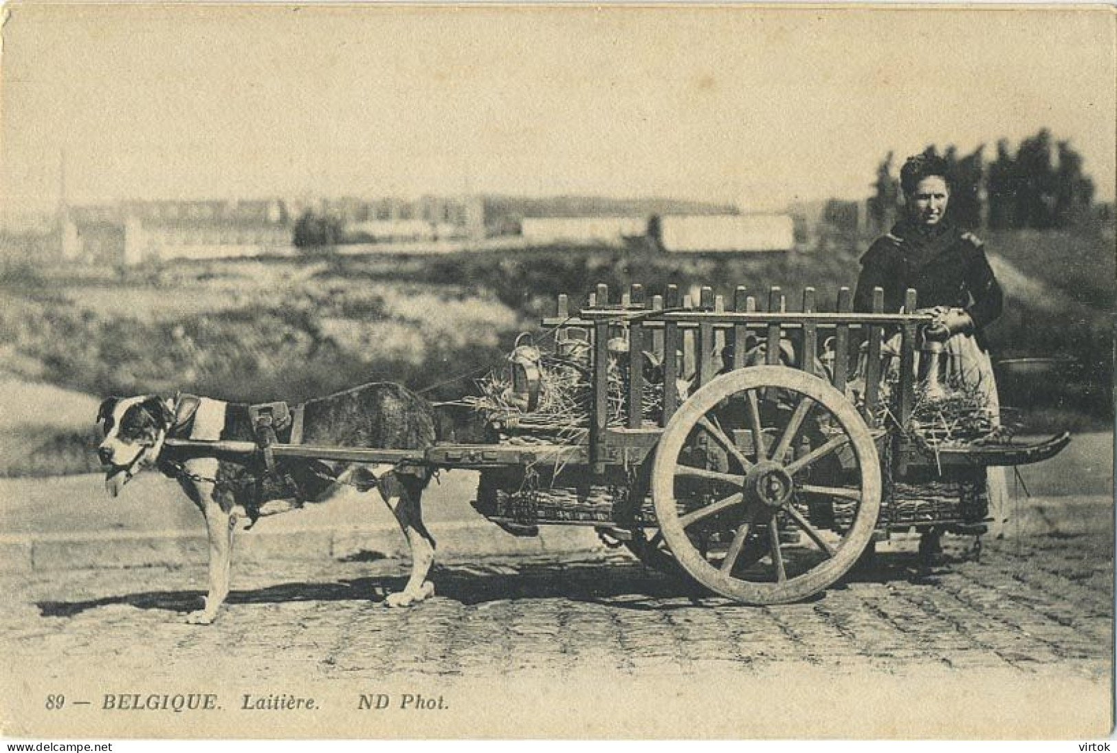 La Laitières  (  BELGE - HOND - CHIEN - Attelage .... Melk - Lait - Milk .....  ) - Spannen