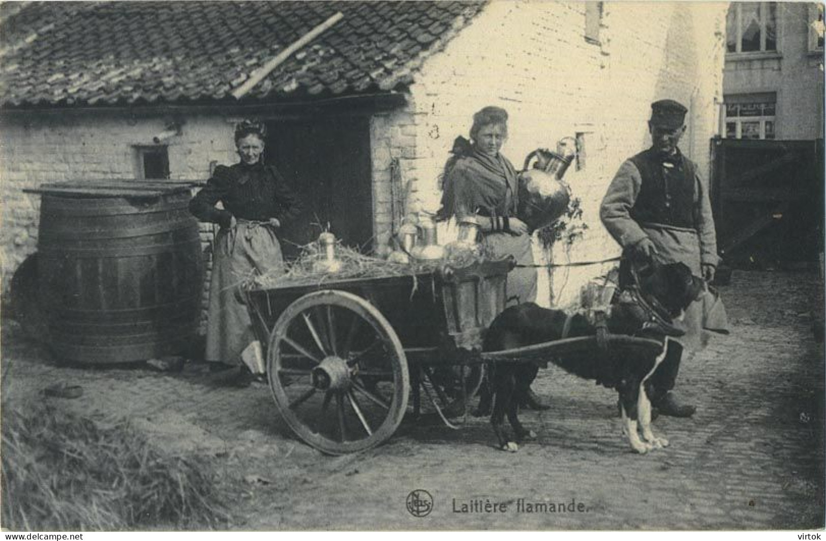 La Laitières  (  BELGE - HOND - CHIEN - Attelage .... Melk - Lait - Milk .....  ) - Wagengespanne