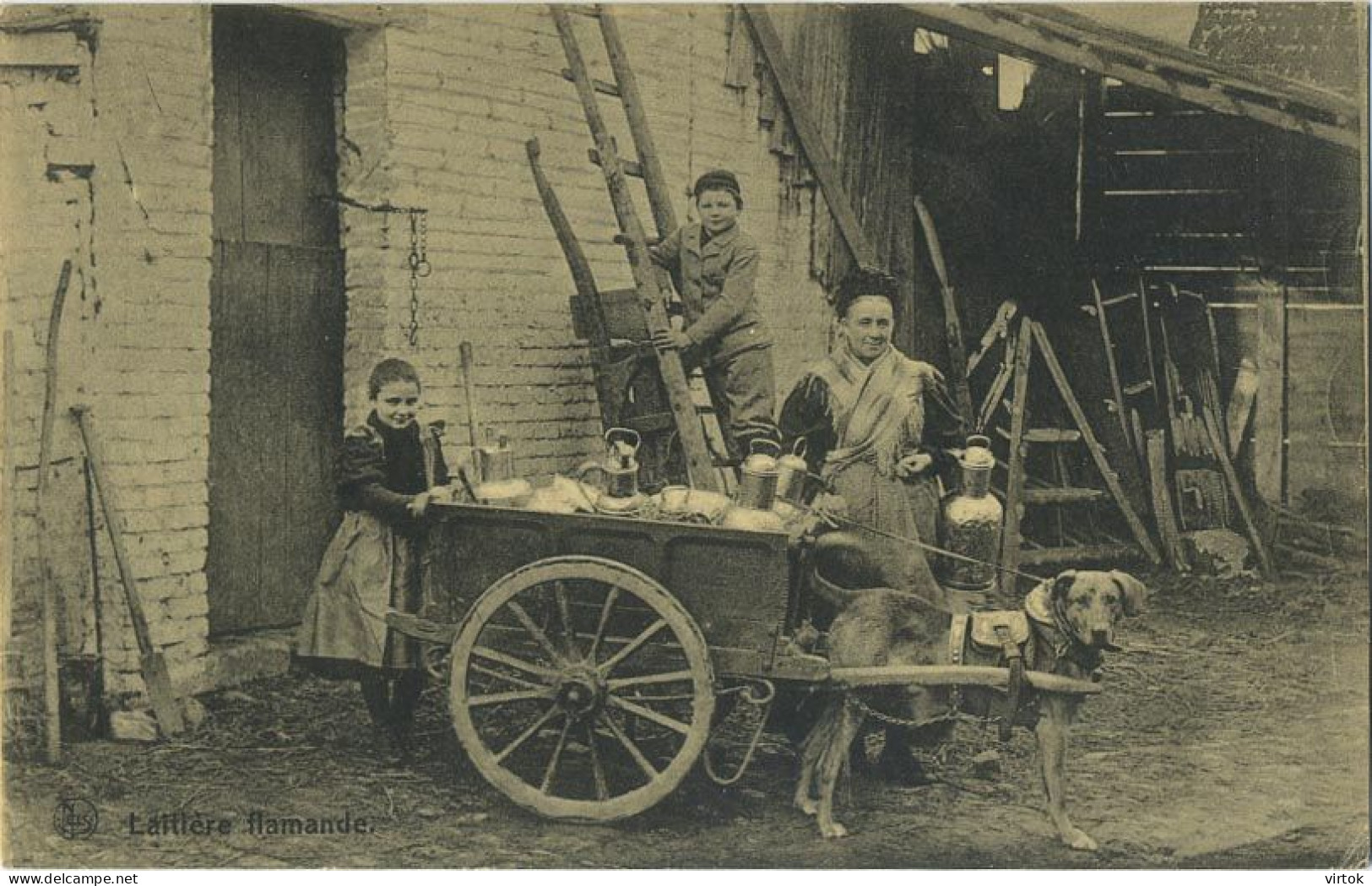 La Laitières  (  BELGE - HOND - CHIEN - Attelage .... Melk - Lait - Milk .....  ) - Attelages