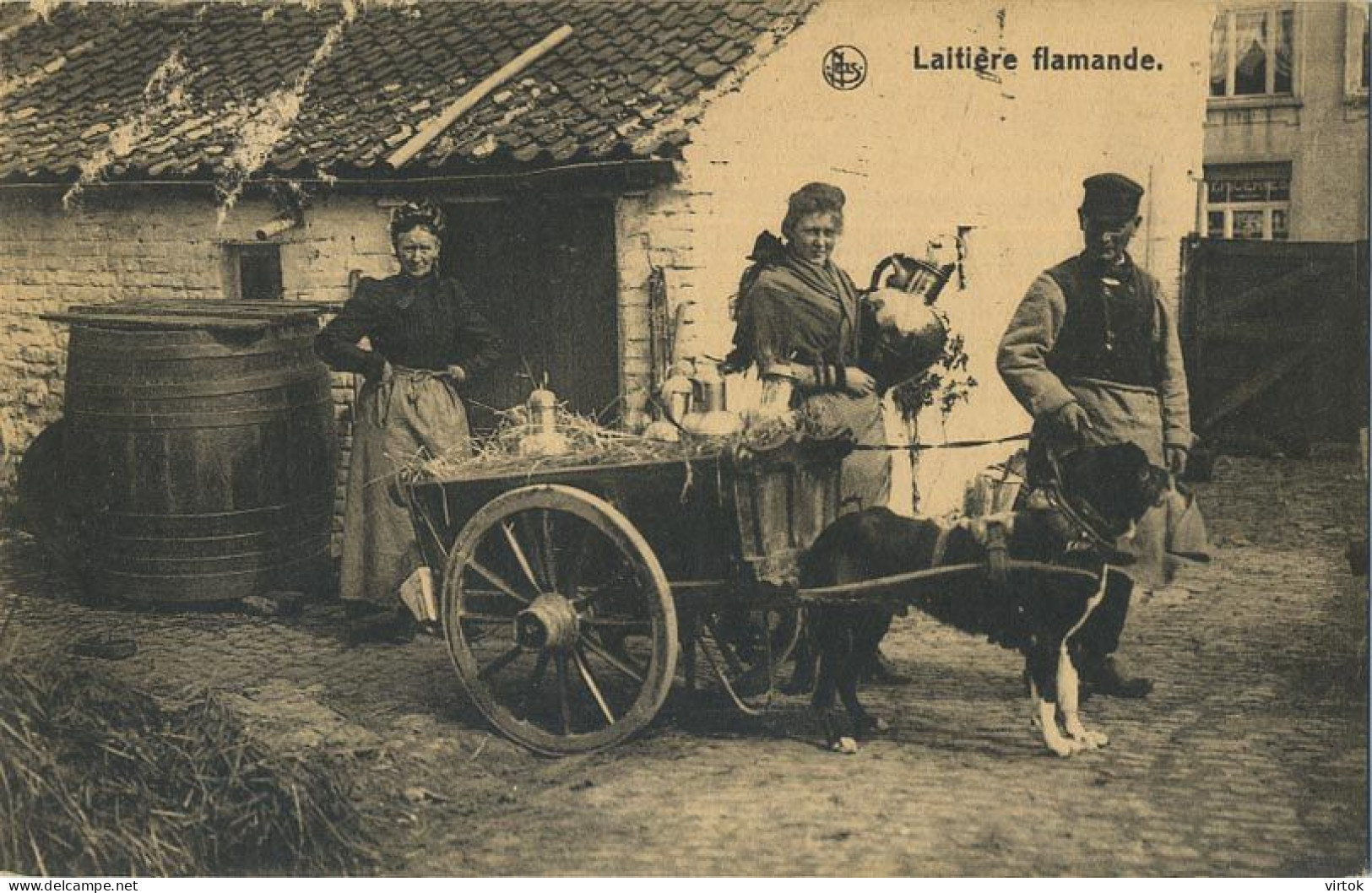 La Laitières  (  BELGE - HOND - CHIEN - Attelage .... Melk - Lait - Milk .....  ) - Spannen