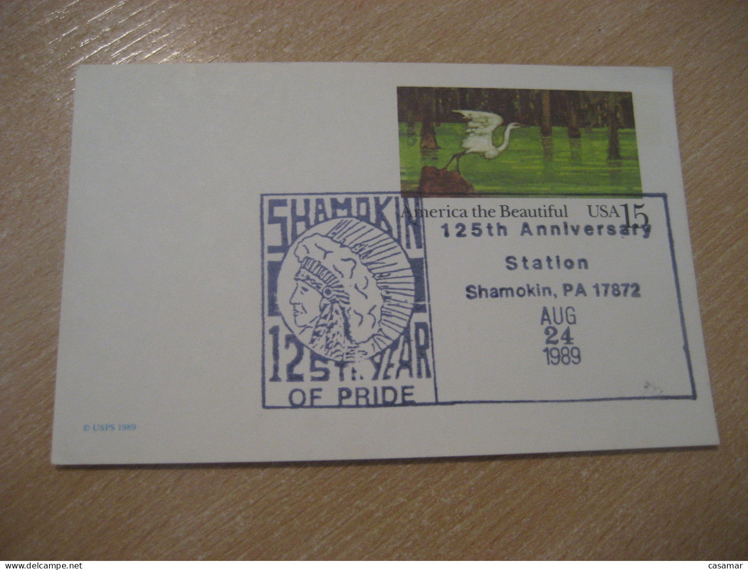 SHAMOKIN 1989 125th Anniversary Of Pride American Indians Indian Cancel Card USA Indigenous Native History - Indianer