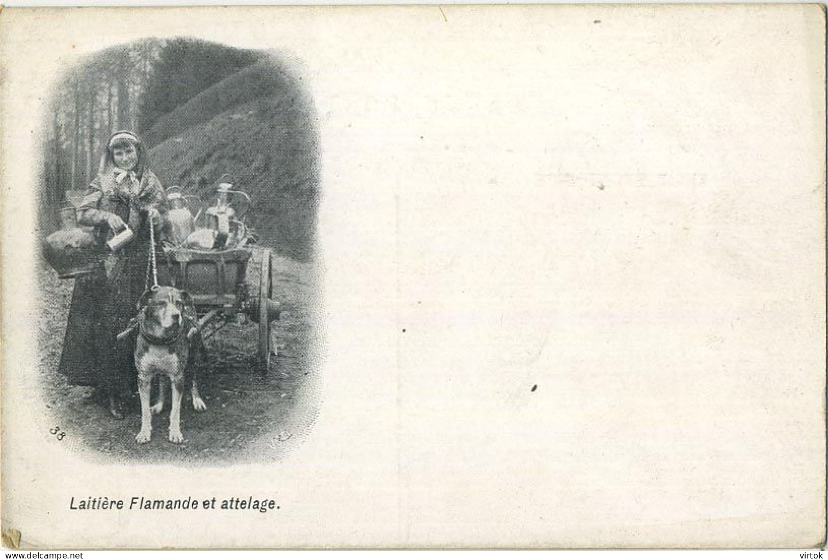 La Laitières  (  BELGE - HOND - CHIEN - Attelage .... Melk - Lait - Milk .....  ) - Equipaggiamenti