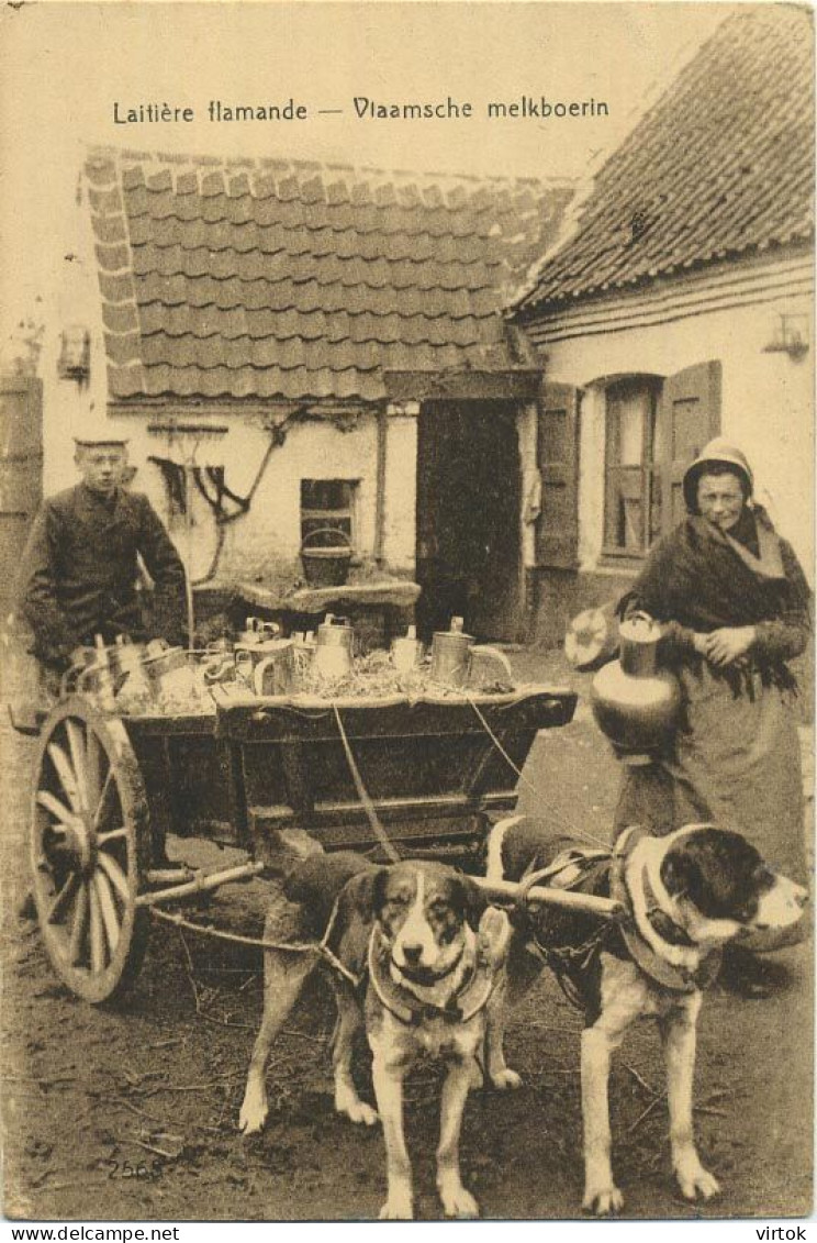 La Laitières  (  BELGE - HOND - CHIEN - Attelage .... Melk - Lait - Milk .....  ) - Spannen