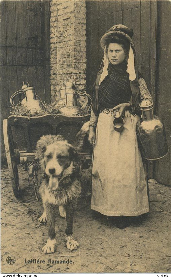 La Laitières  (  BELGE - HOND - CHIEN - Attelage .... Melk - Lait - Milk .....  ) - Wagengespanne