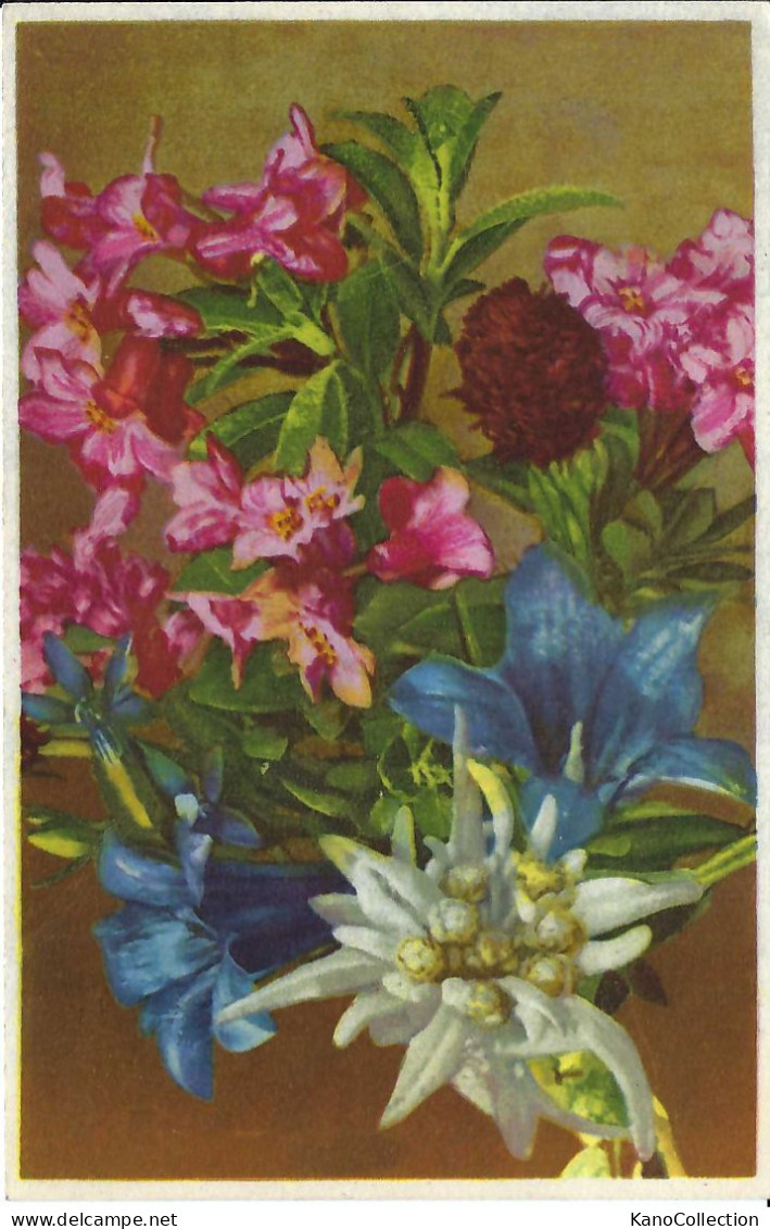 Blumenarrangement, Gelaufen 1942 - Fleurs
