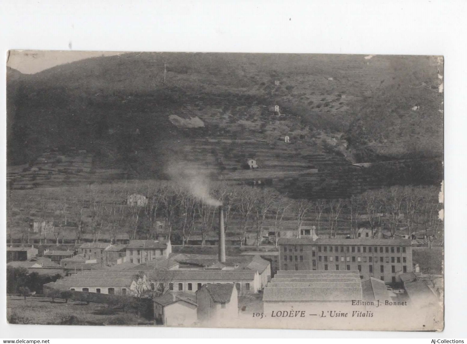 AJC - Lodeve -  L'usine Vitalis - Lodeve