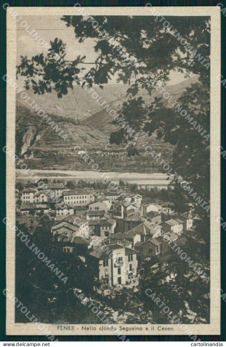 Belluno Alano Di Piave Fener Segusino E Cesen Cartolina VK0638 - Belluno