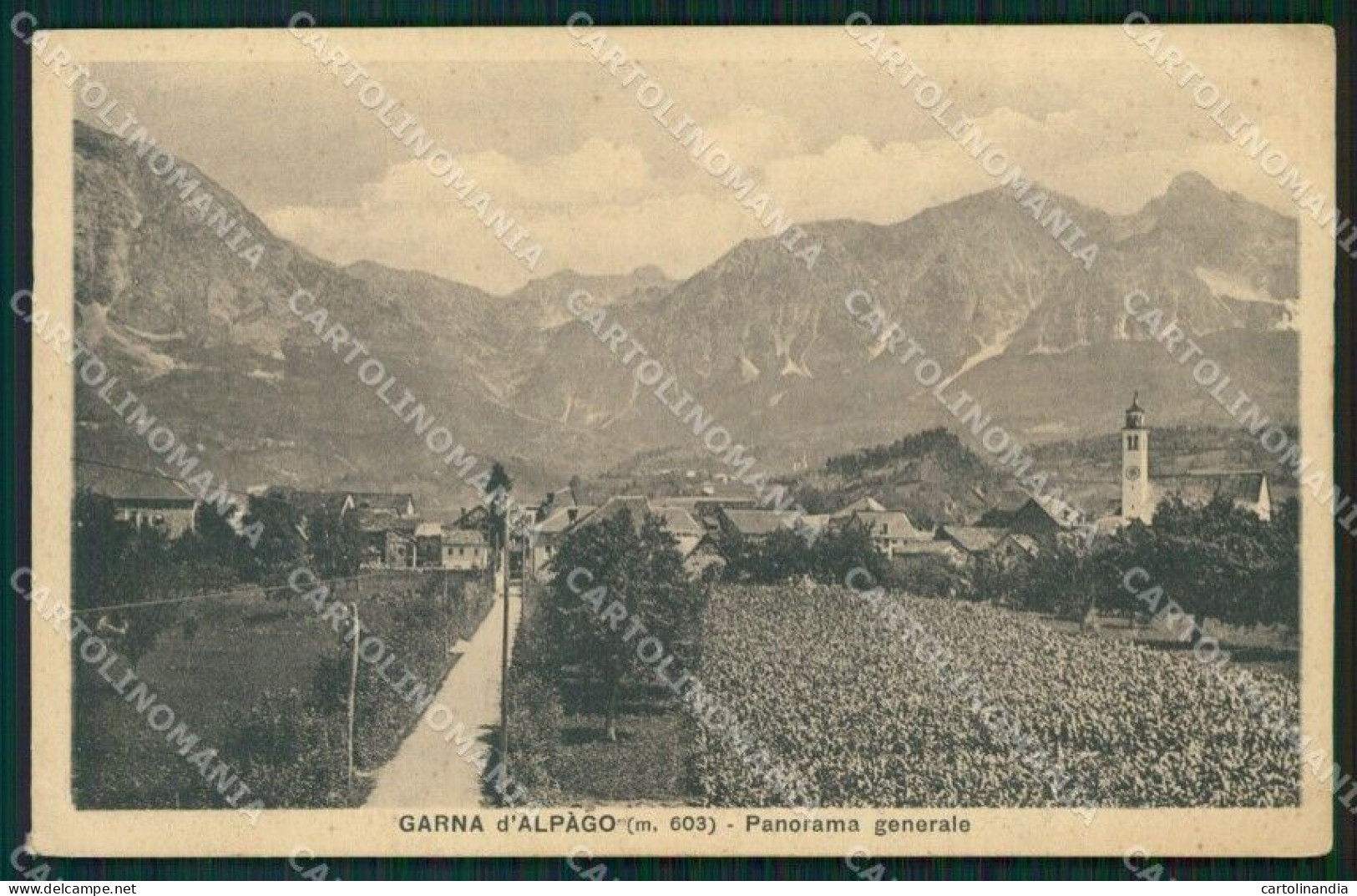 Belluno Alpago Garna Di PIEGHINA Cartolina VK0741 - Belluno