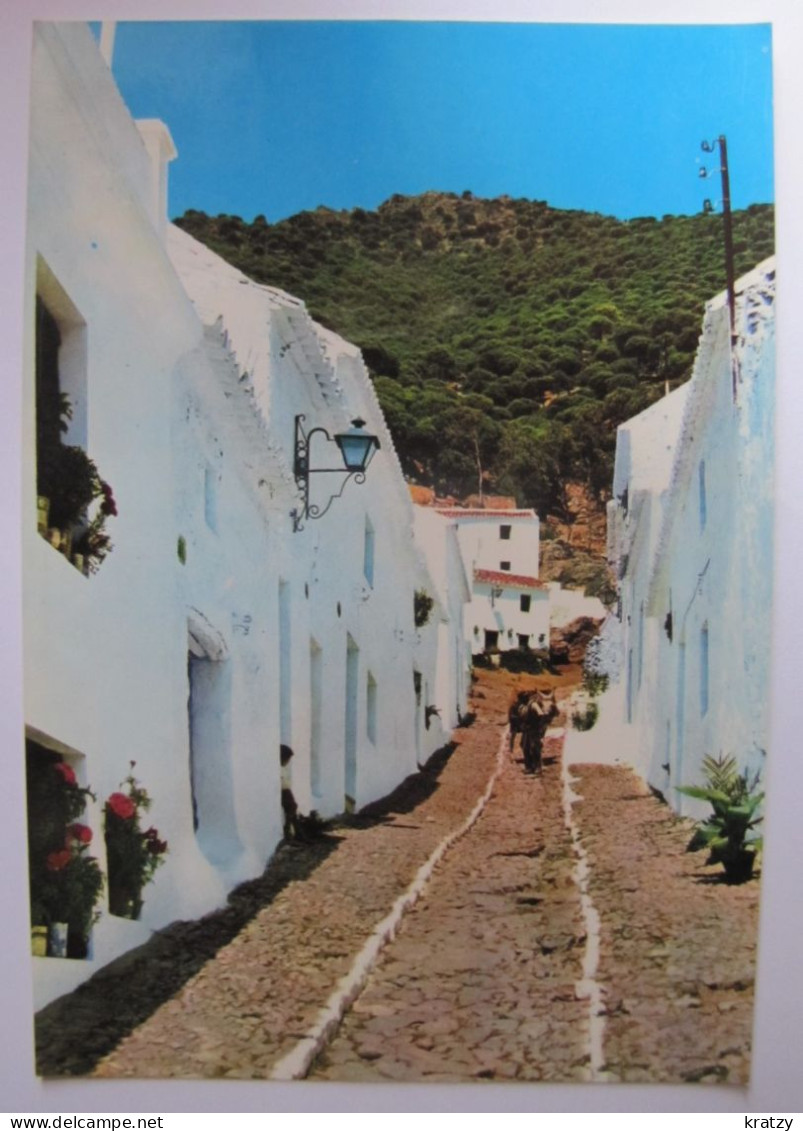 ESPAGNE - ANDALUCIA - MIJAS - Calle Tipica - Málaga