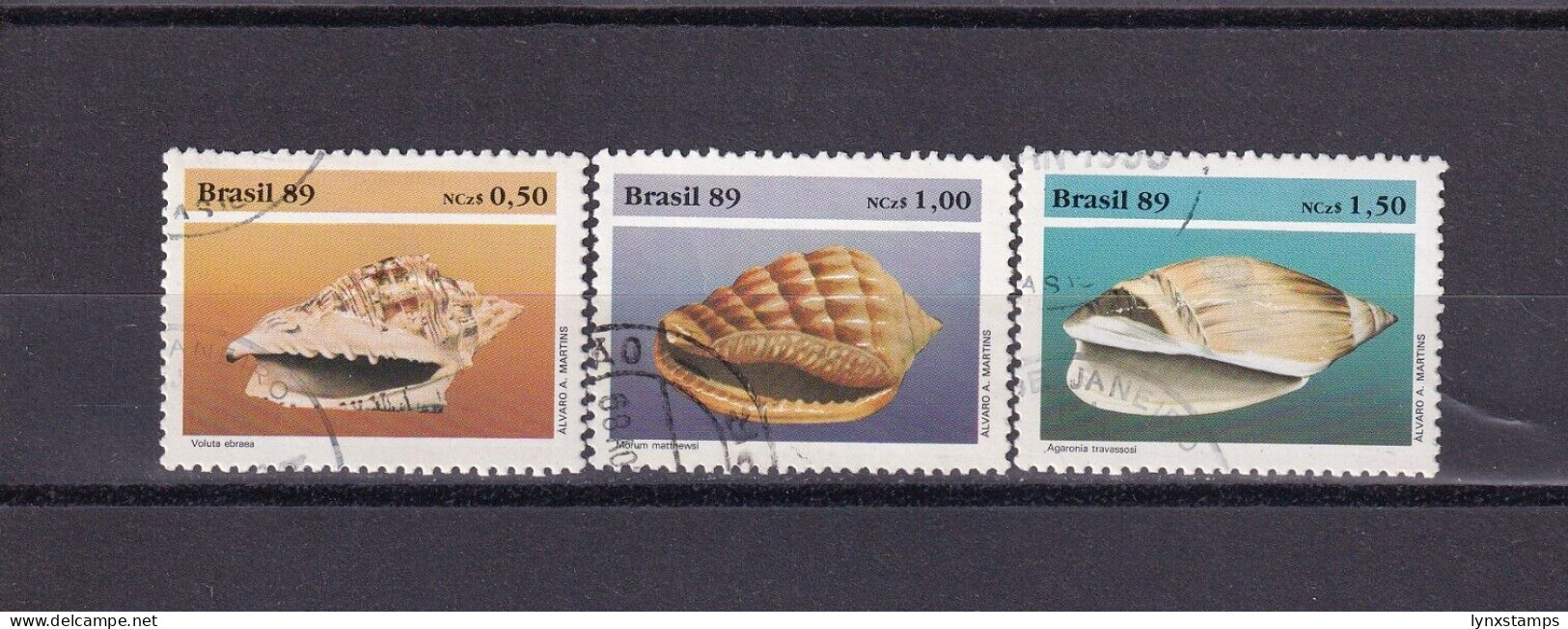 SA06 Brazil 1989 Molluscs - Shells Used Stamps - Oblitérés