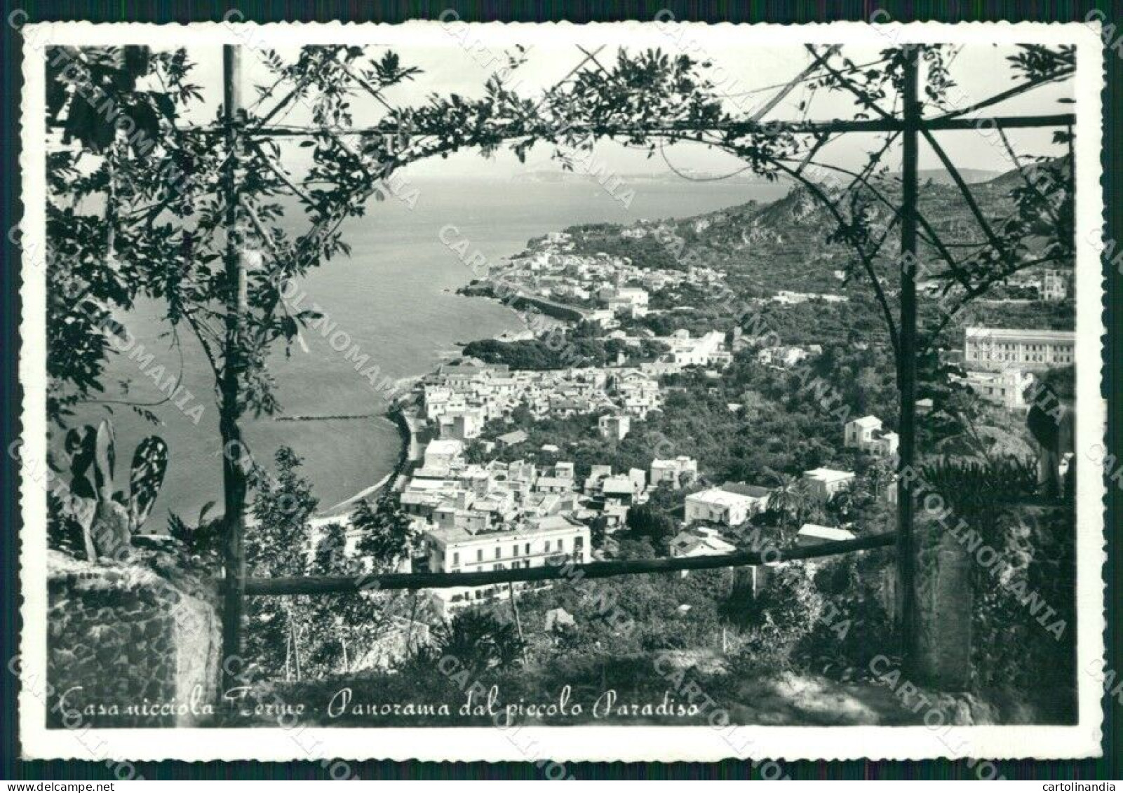 Napoli Casamicciola Terme PIEGHINA FG Foto Cartolina KB5142 - Napoli (Naples)