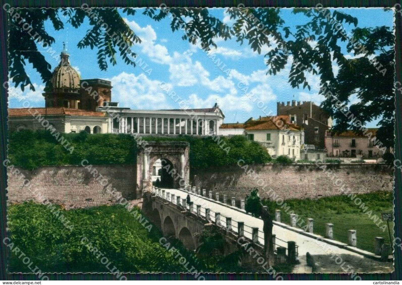 Caserta Capua Foto FG Cartolina ZKM7279 - Caserta