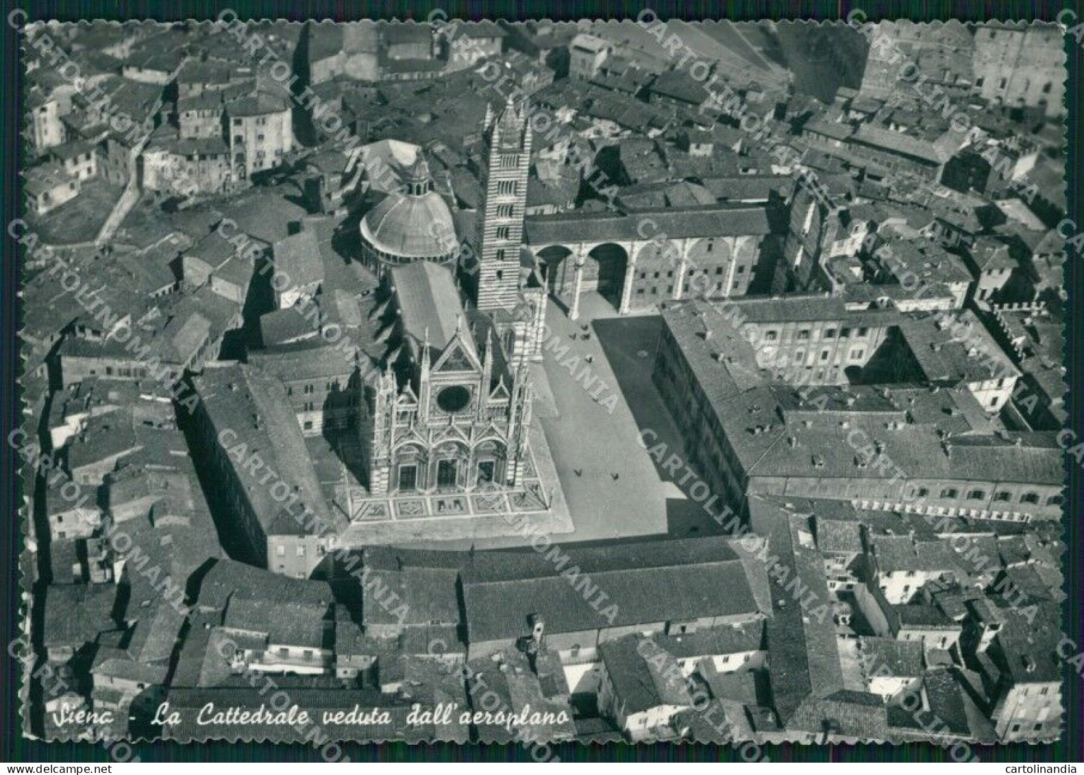 Siena Città Cattedrale FG Foto Cartolina KB5145 - Siena