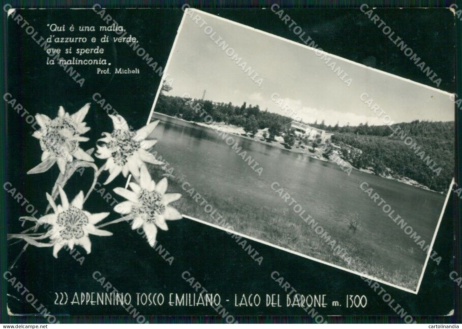 Reggio Emilia Lago Del Barone PIEGHINE Foto FG Cartolina ZK2933 - Reggio Emilia