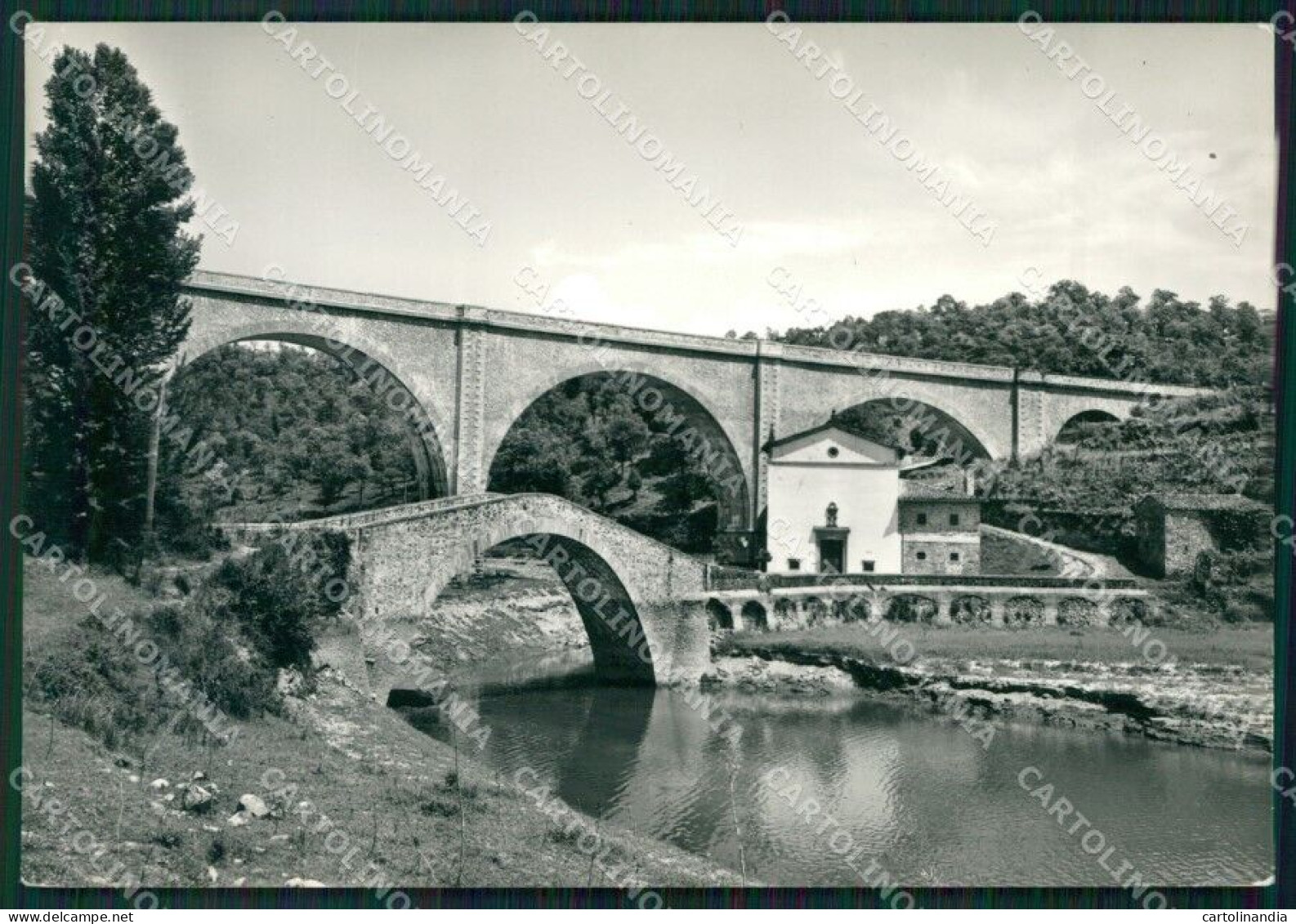 Firenze Mugello ? Foto FG Cartolina ZK4546 - Firenze (Florence)