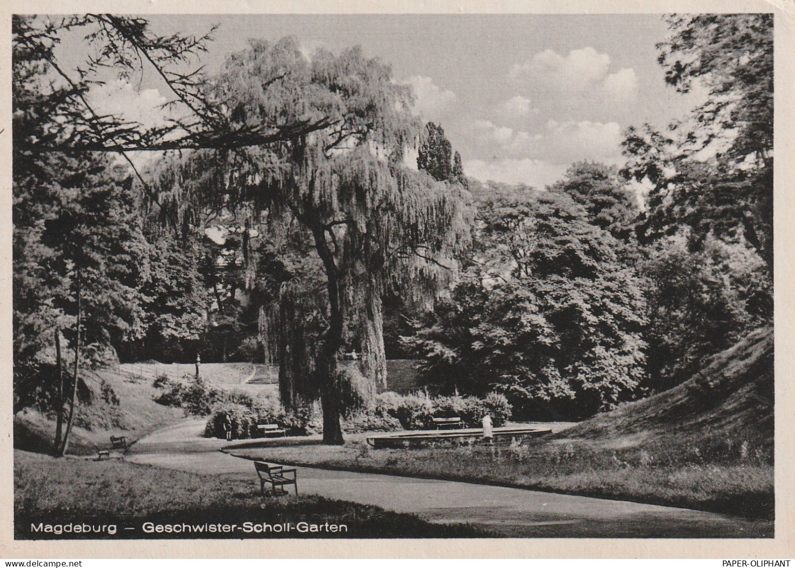 0-3000 MAGDEBURG, Geschwister-Scholl-Garten, 1954, Verlag Garloff - Maagdenburg