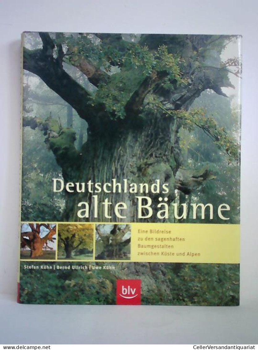 Deutschlands Alte Bäume - Eine Bildreise Zu Den Sagenhaften Baumgestalten Zwischen Küste Und Alpen Von Kühn, Stefan /... - Unclassified