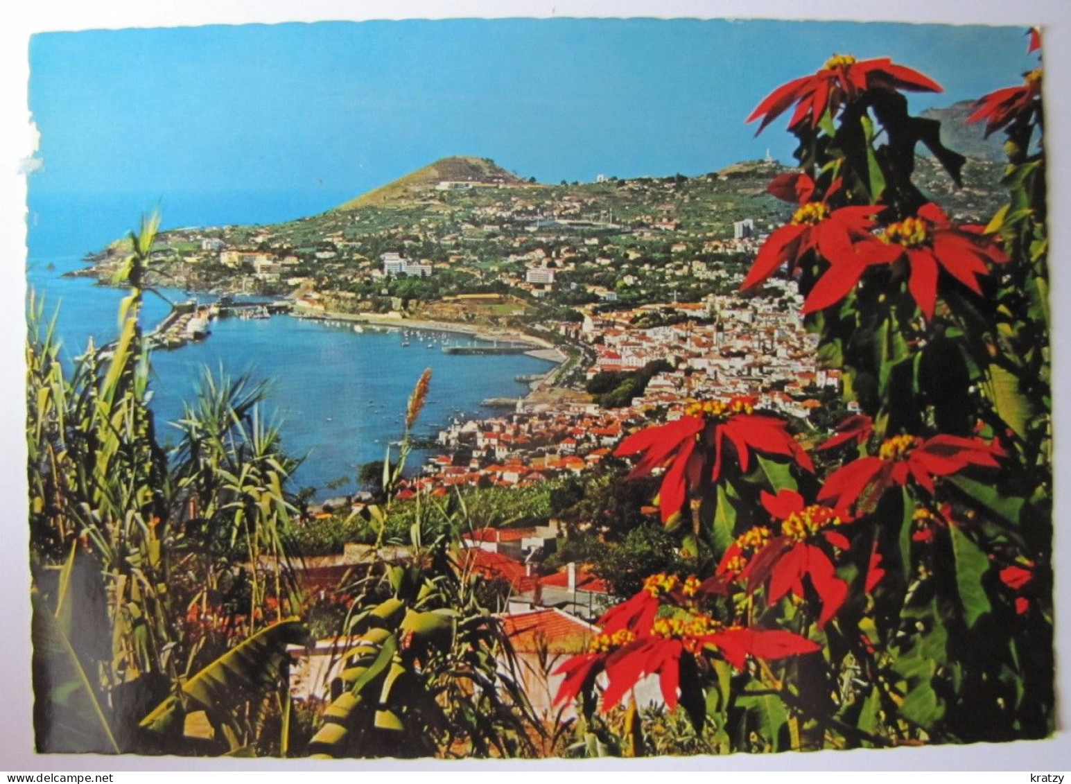 PORTUGAL - MADEIRA - FUNCHAL - Vista Oeste - Madeira