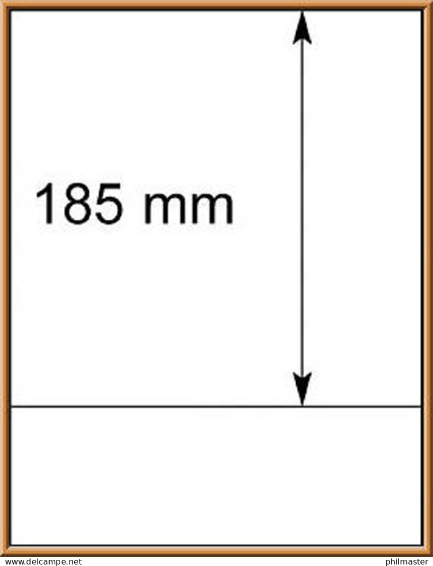 LINDNER-T-Blanko - Einzelblatt 802 103 - Fogli Bianchi