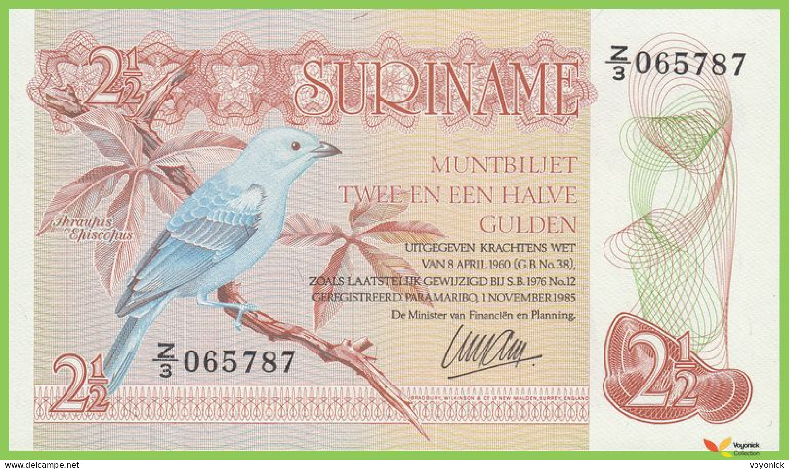 Voyo SURINAM 2½ Gulden 1985 P119a Z/3 UNC K - Suriname