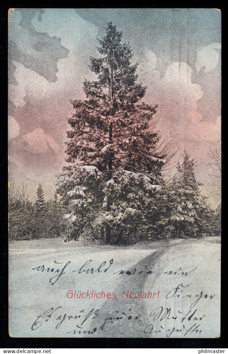 AK Neujahr: Große Tanne In Winterlandschaft, NÜRNBERG 9.1.1915 - Neujahr