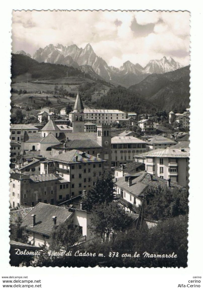 PIEVE  DI  CADORE:  PANORAMA  CON  LE  MARMAROLE  -  FOTO  -  FG - Belluno