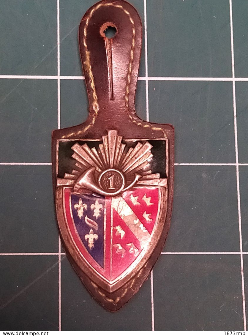 INSIGNE 1 ER REGIMENT DE CHASSEURS, 1ER RCH, DRAGO PARIS (2) - Army