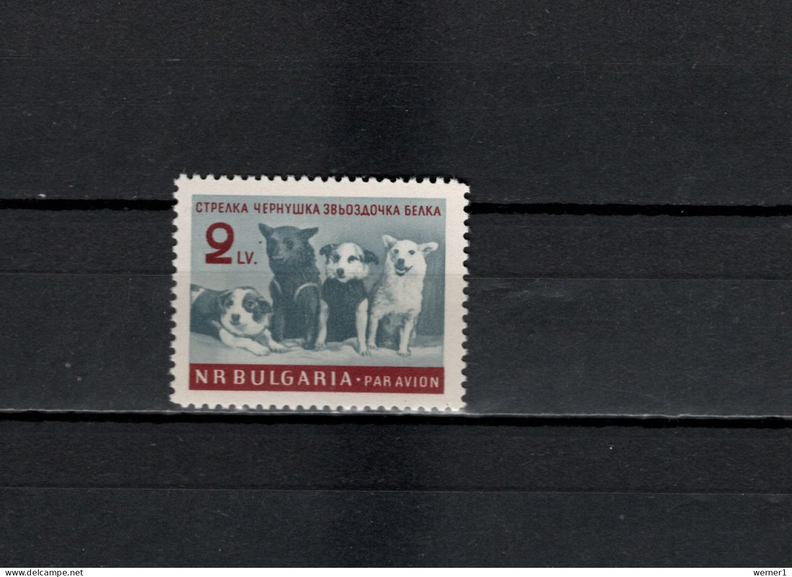 Bulgaria 1961 Space, Cosmonaut Dogs Stamp MNH - Europe